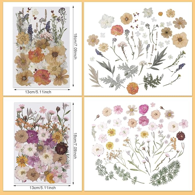 Nuanchu 200 Pcs Pressed Flowers Bulk Dried Flower - Image 4