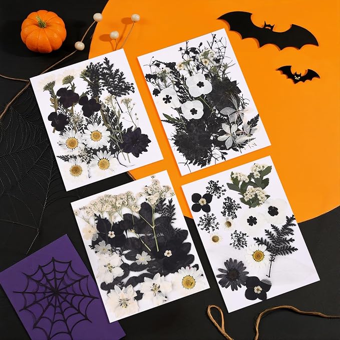 DALARAN Black Dried Pressed Flowers - Image 2
