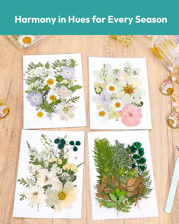 Dried Flowers, Resiners 100Pcs Pressed Flowers - Image 2