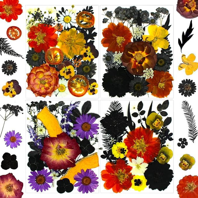 92 Pcs Dried Pressed Flowers Fruits by SUAUKEYDRIEDFLOWERS