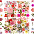 MIKIYA 90Pcs Pink Dried Pressed Flowers by MIKIYA
