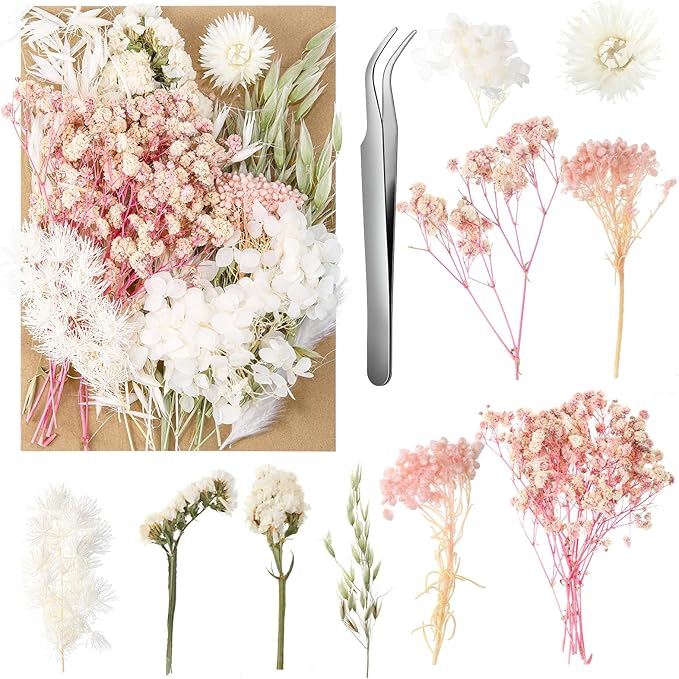 Real Dried Flowers, Natural Dry Flowers Mixed Natural Pressed Flowers Flores by auroray