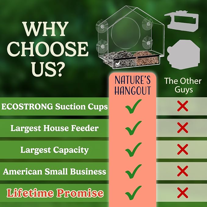 Clear Bird Feeders for Window Viewing Inside - Image 5