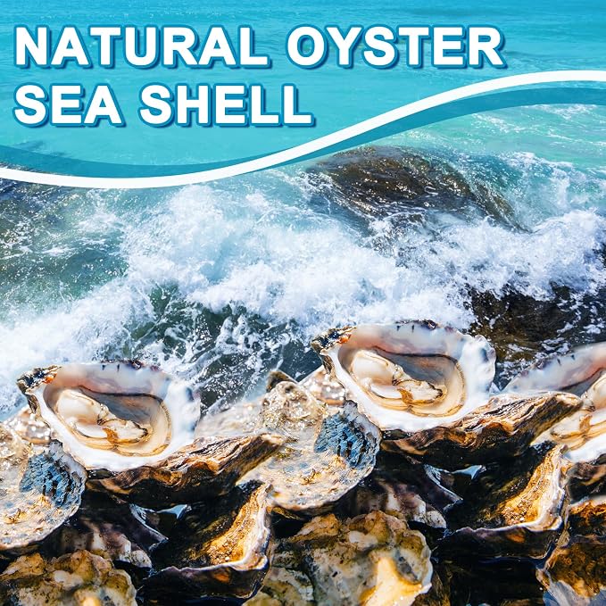 20PCS Flat Oyster Shells 5"-6" Extra Large Oyster Shells - Image 4