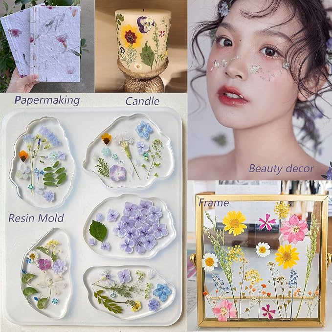 12 Types 48PCS Real Dried Pressed Flowers - Image 6