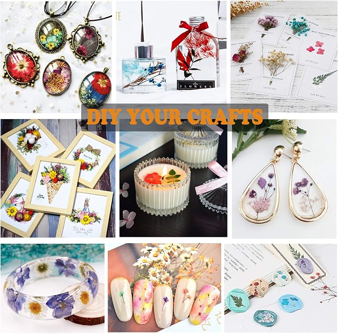 132Pcs Black Pressed Dried Flowers and Butterfly - Image 4