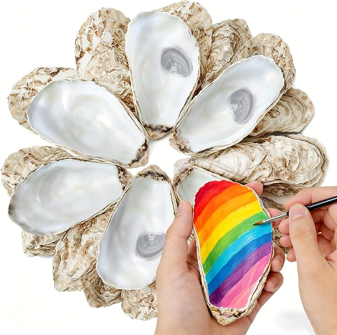4"-5" 20PCS Large Concave Oyster Shells by DOODLEBEAN