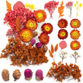 Vignee Real Dried Pressed Leaf Flowers-Multiple Colorful Pressed Flowers Daisies by Vignee