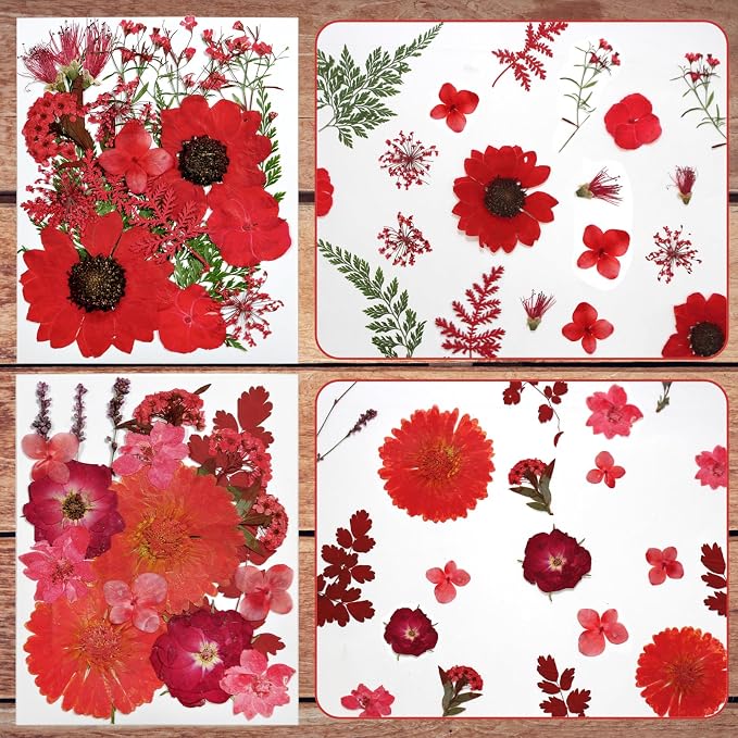 Dried Flowers for Resin | Vacuum Packed DIY Pressed Flowers for Epoxy, Nail - Image 4