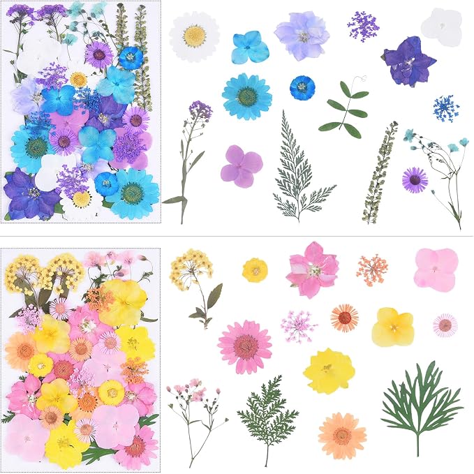 141Pcs Colorful Dried Pressed Flowers - Image 3