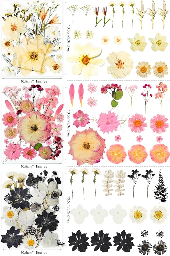 320PCS Dried Pressed Flowers Bulk - Image 5