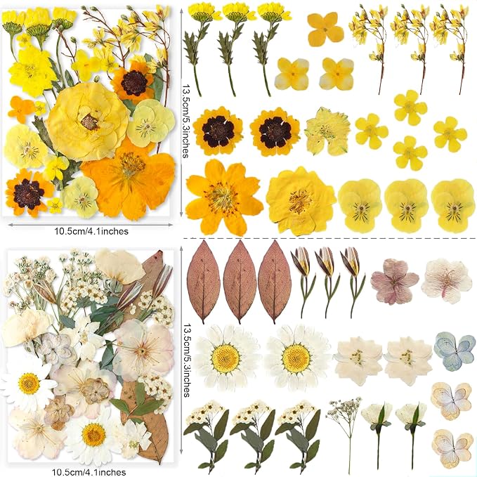 269PCS Dried Pressed Flowers for Resin Craft - Image 5