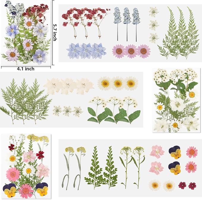 NESCCI Dried Pressed Flowers for Resin - Image 3