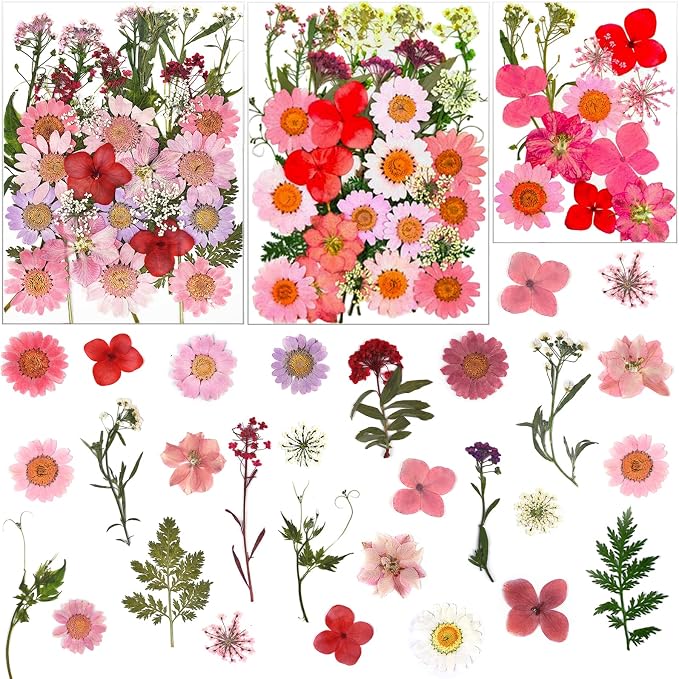 83 Pcs Pink Real Dried Pressed Flowers Natural Leave Petals by LUCISKY