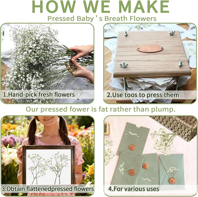 50Pcs Mini Dried Pressed White Baby's Breath Flowers Bulk - Image 5