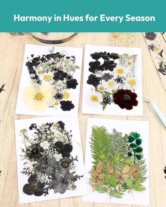 Dried Flowers, Resiners 100Pcs Pressed Flowers - Image 2