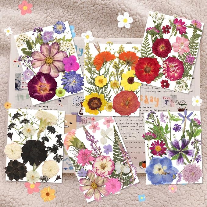 140Pcs Multi-Style Dried Pressed Flowers & Leaves - Image 2