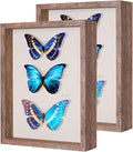 2 Packs 11x14 Shadow Box Frame by Califortree