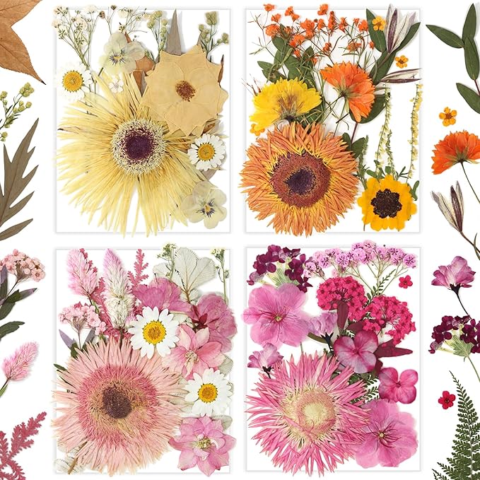 34 Types 60PCS Real Dried Pressed Flowers Leaf Plant Herbarium by Unknown