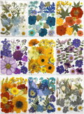 180Pcs Dried Pressed Flowers, Natural Dried Flowers Bulk by Buzidao