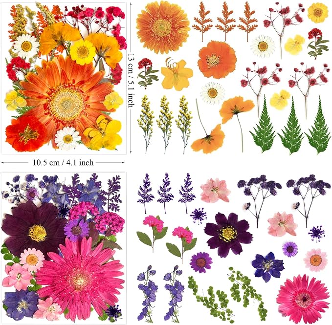 90Pcs Big Dried Pressed Flowers - Image 6