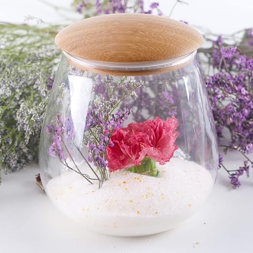 Wisesorb Silica Gel for Flower Drying, Silica Gel Flower Drying Crystals - Image 9