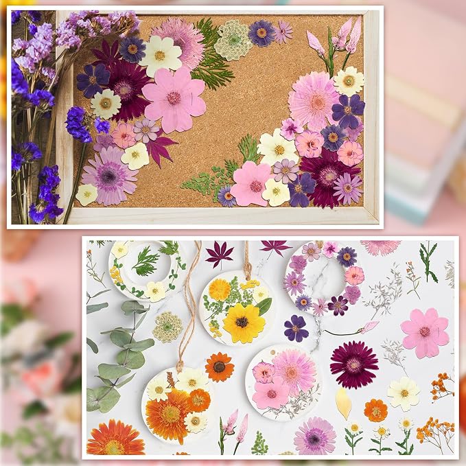 Nuanchu Dried Pressed Flowers Bulk - Image 6