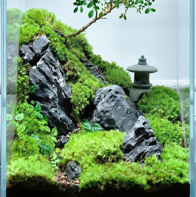 Natural Rocks Seiryu Stone 1-2.5 Inches Decorative Rocks - Image 5