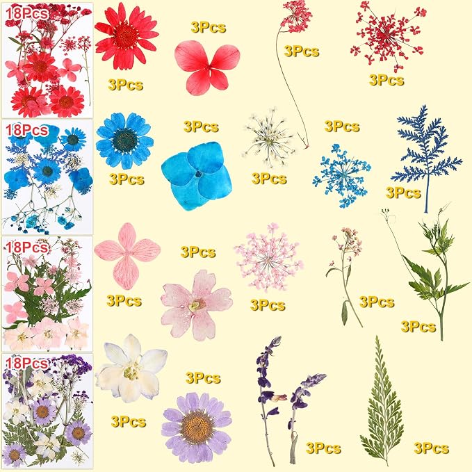 Fabbay 712 Pcs Dried Pressed for Resin - Image 2