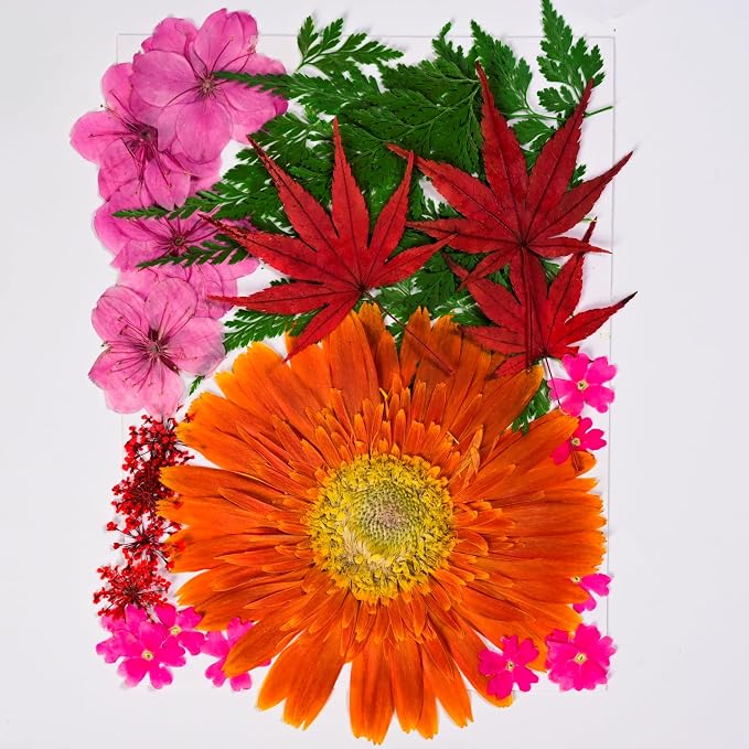136pcs Dried Flowers for Resin, Dried Pressed Flowers for Crafts Bulk for - Image 4