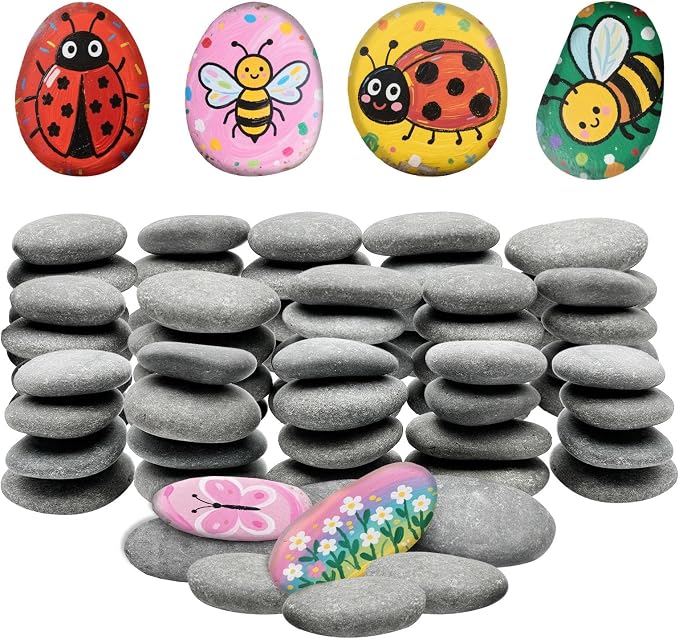 ReePlan 65PCS Rocks for Painting, 2-3 Inches Natural Smooth River Rocks for by Unknown