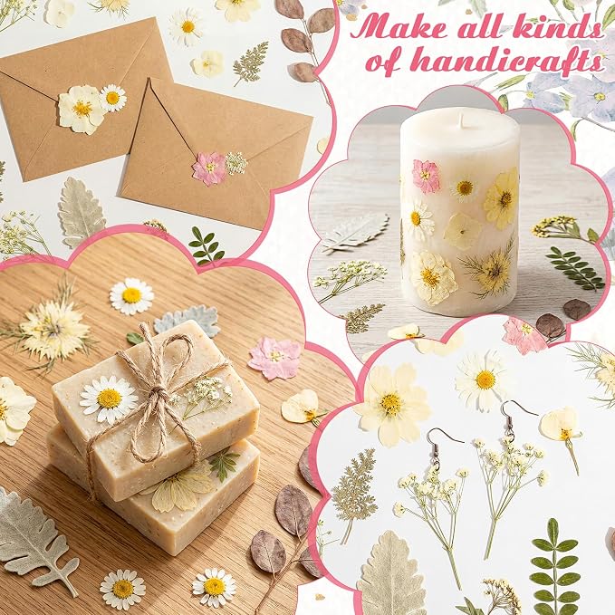 96 Pcs Natural Dried Pressed Flowers - Image 7