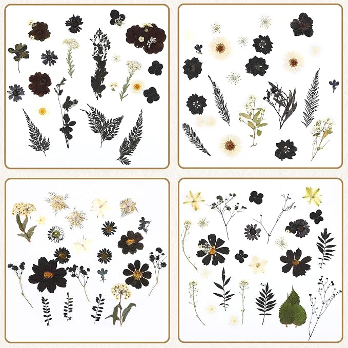 Augshy Black Dried Pressed Flowers, Scrapbooking, Soap Making - Image 5