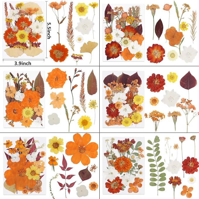 NESCCI 277 Pcs Autumn Dried Flowers - Image 2