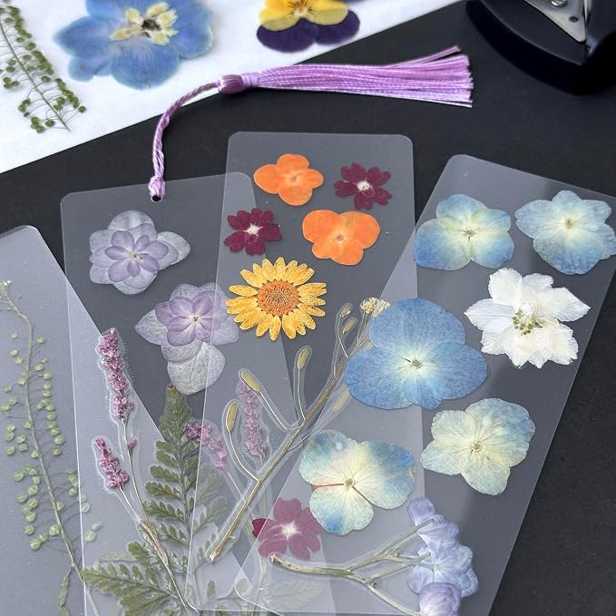 Real Dried Pressed Flowers Leaf Plant Herbarium - Image 6