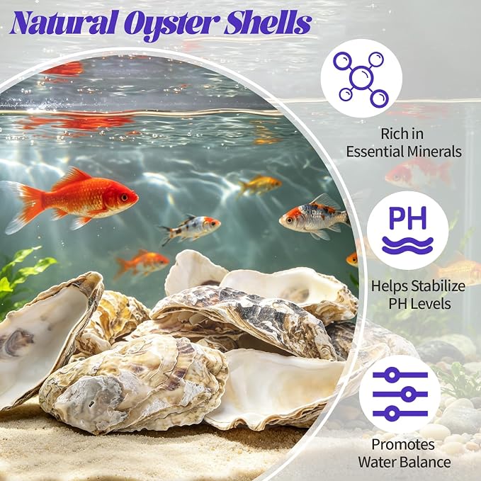 SINKOO 20PCS Concave Oyster Shells 4"-6", Large Oyster Shells - Image 5
