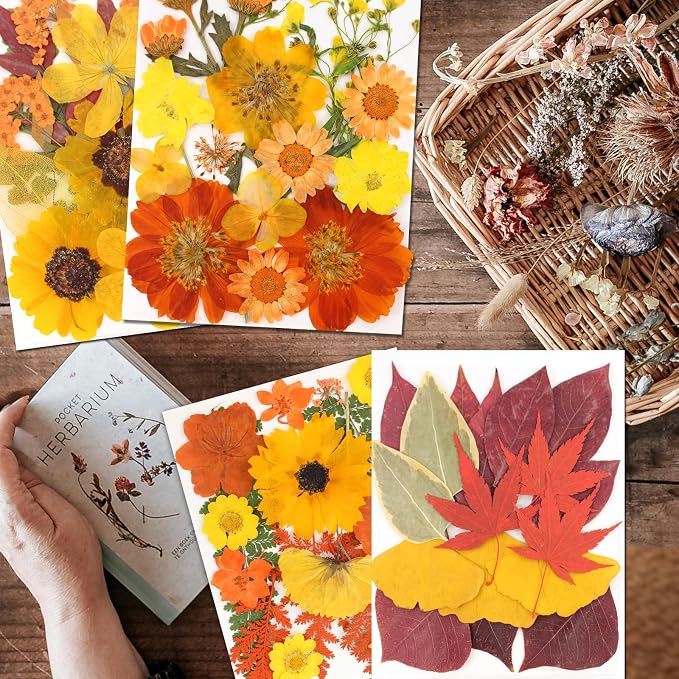 Dried Flowers | 68Pcs Fall Pressed Flower - Image 2