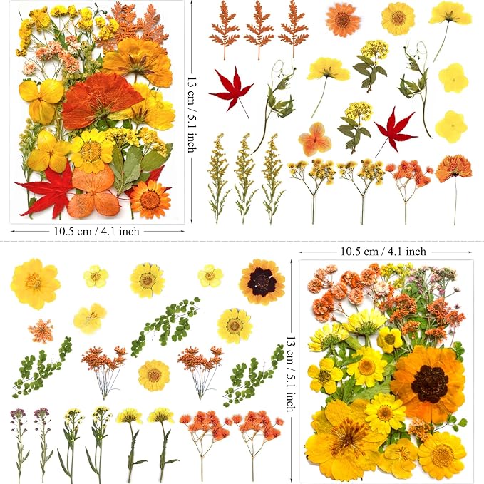 MIKIYA 88Pcs Yellow Pressed Dried Flowers - Image 5