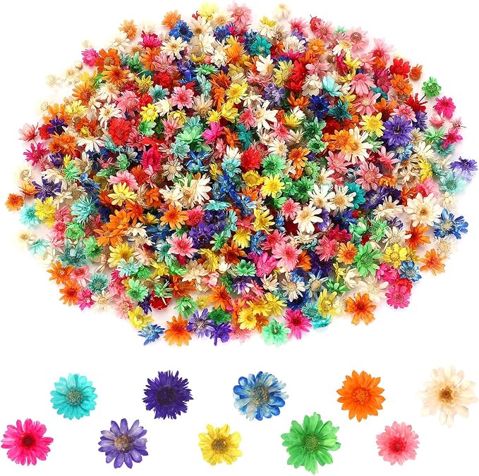 MARFOREVER 420 Pcs Small Dried Flowers - Image 2