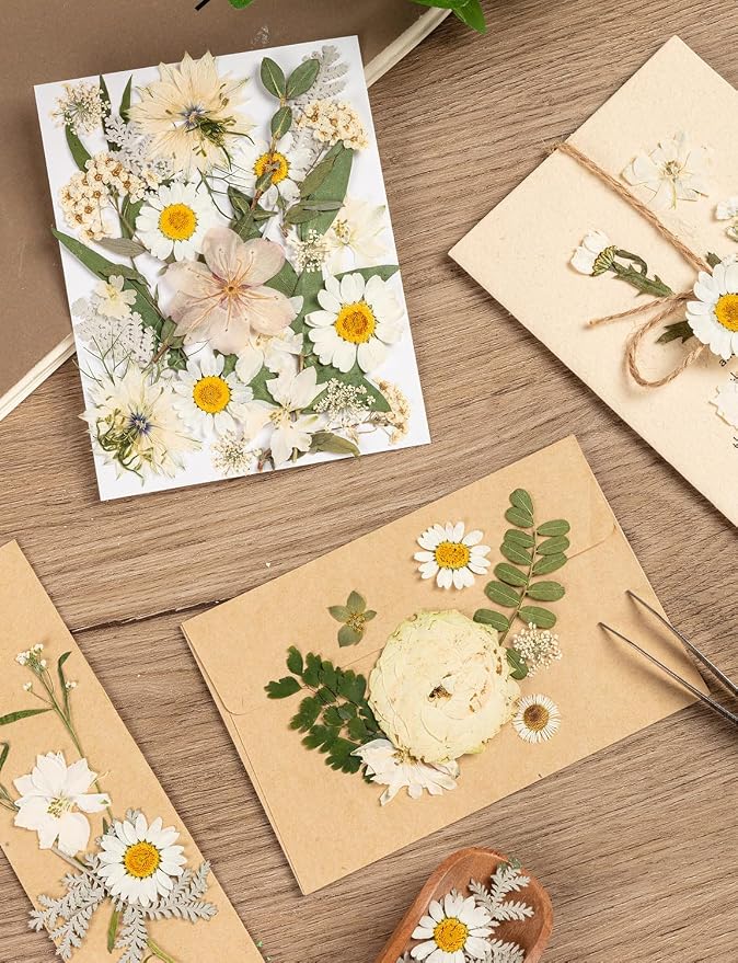 100pcs White and Light Yellow Dried Pressed Flowers Bulk, Natural Fall Pressed - Image 7