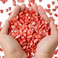 QICQDRAM Crushed Shells for Crafts About 1LB Small Natural Crushed Shells Bulk by QICQDRAM