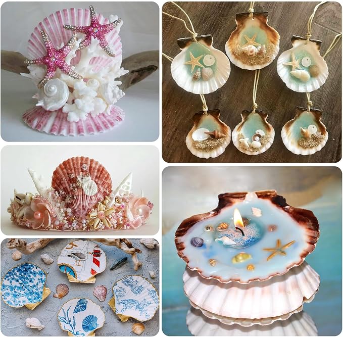 10PCS Scallop Shells 4‘’-4.5" Natural Sea Shells Yellow & Pink Hawaiian Scallop - Image 5