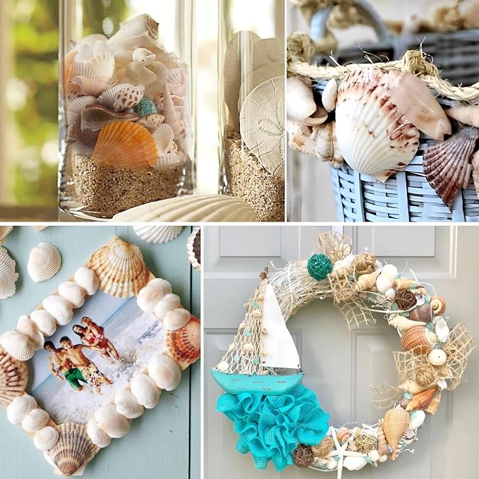 QEQEKAKA Sea Shells for Crafts - Image 6