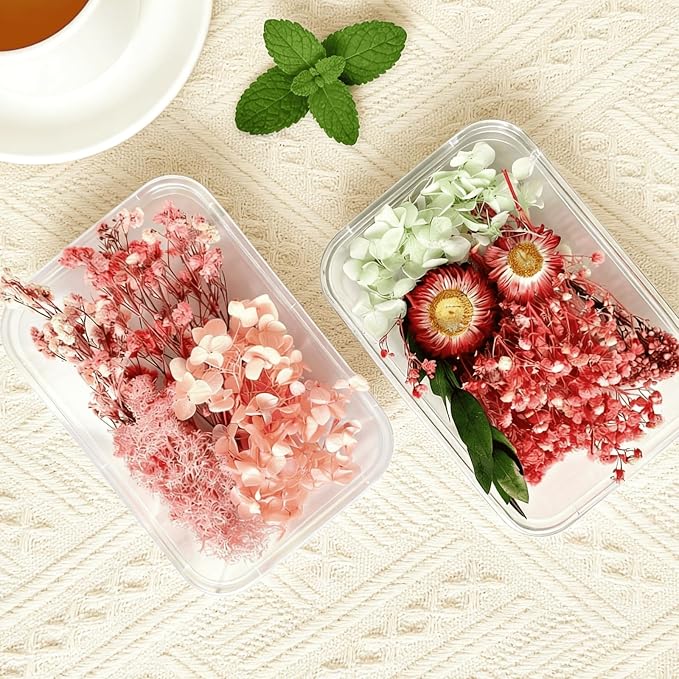 2PCS Dried Flowers Kit, Natural Dried Flowers Kit - Image 3