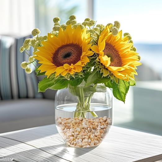 2.5 lbs Coarse Sand for Plants, 1/5 Inch Horticultural Sand for Vases, Fish Tank - Image 4