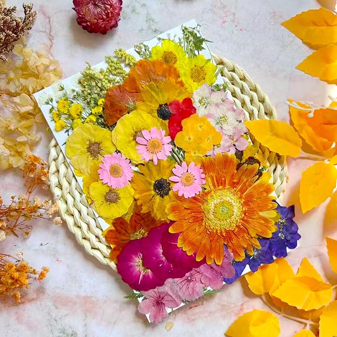 76 Pcs Orange Dried Pressed Flowers - Image 2