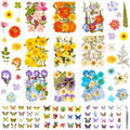 284 Pcs Dried Pressed Flowers by Evatage
