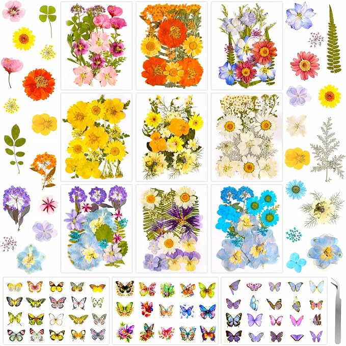 284 Pcs Dried Pressed Flowers by Evatage