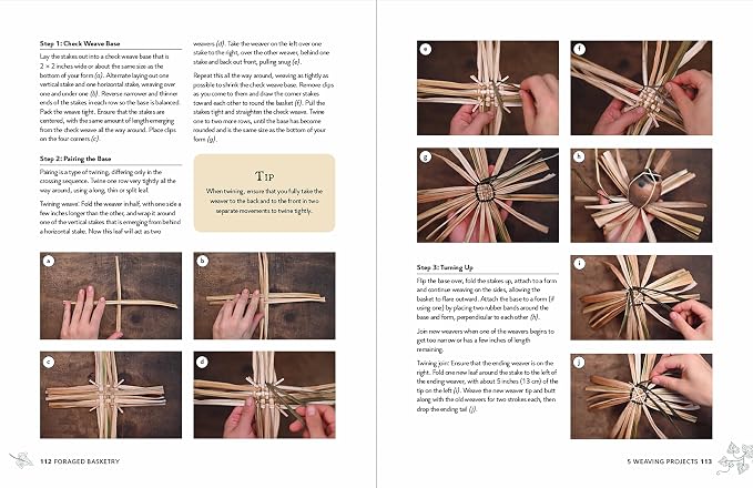 Foraged Basketry: Weaving with Wild and Invasive Plants - Image 6
