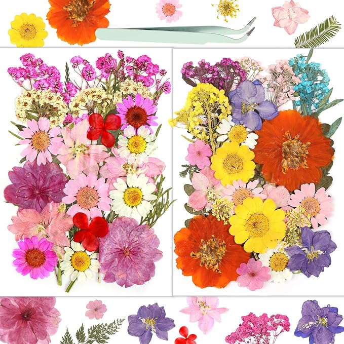 Dried Flowers, Resiners 58Pcs Pressed Flowers by Resiners